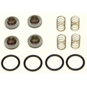 KIT REVISIÓN INYECTORES FAST 2