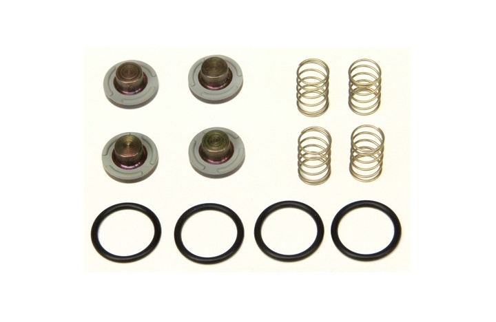 KIT REVISIÓN INYECTORES FAST 2